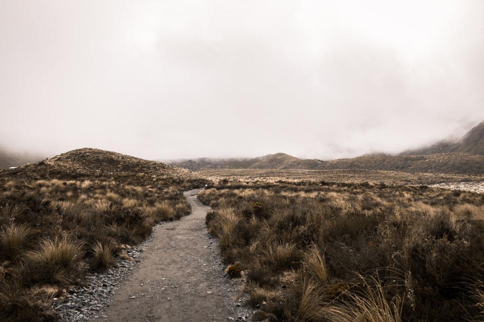 Free Image of Dirt Path Through Field 