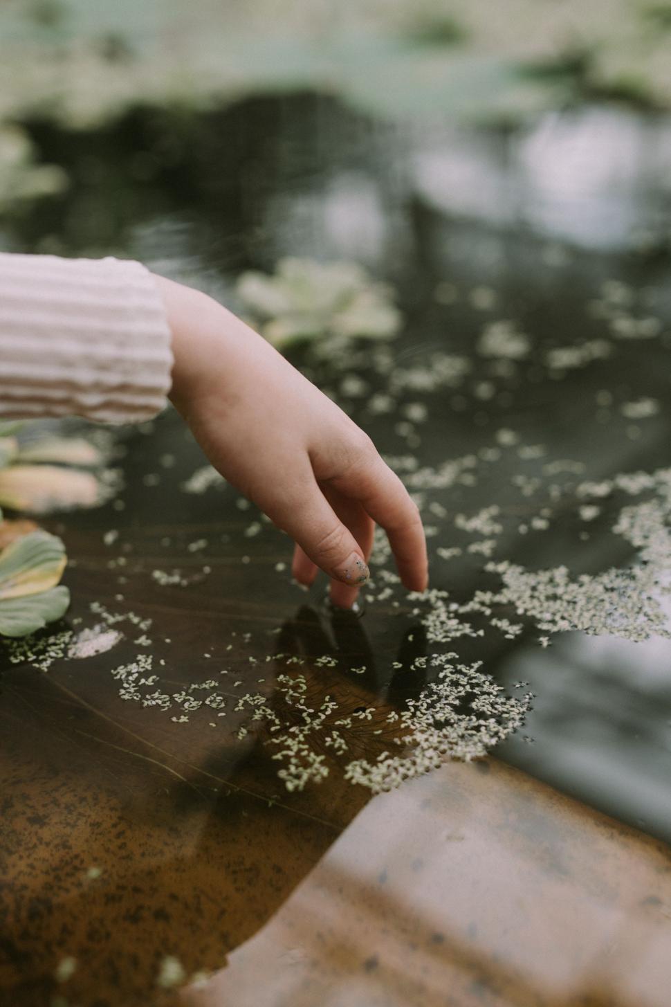 Free Image of Hand Reaching Into Water 