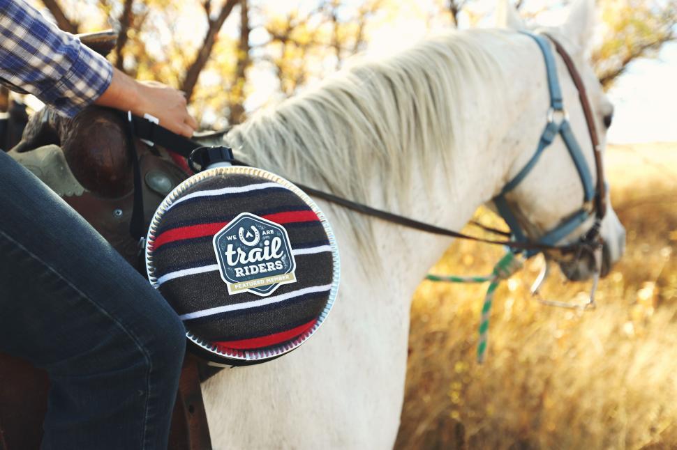 Free Image of Person Riding on the Back of a White Horse 