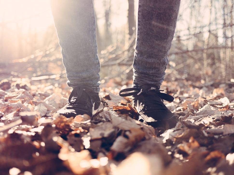 Free Image of Person Walking Through Leaf Covered Forest 
