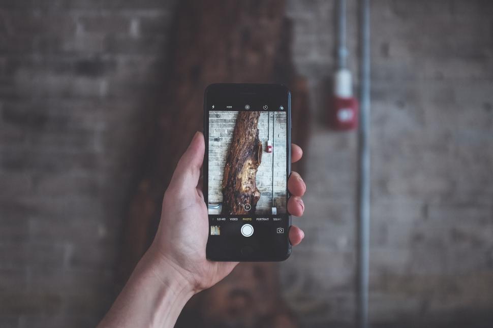 Free Image of Person Taking Picture of Tree With Cell Phone 