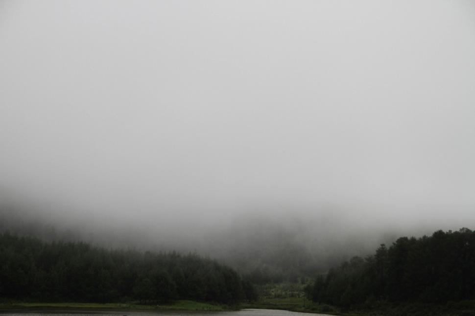 Free Image of Foggy River Flowing Through Black and White Landscape 