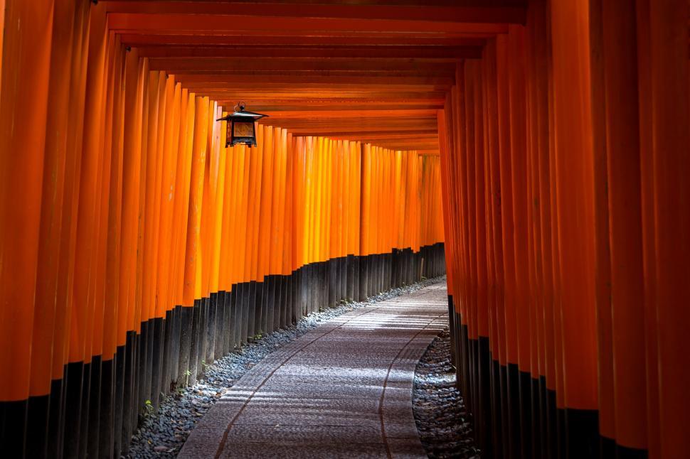 Free Image of Orange Columns Lining Walkway in Park 