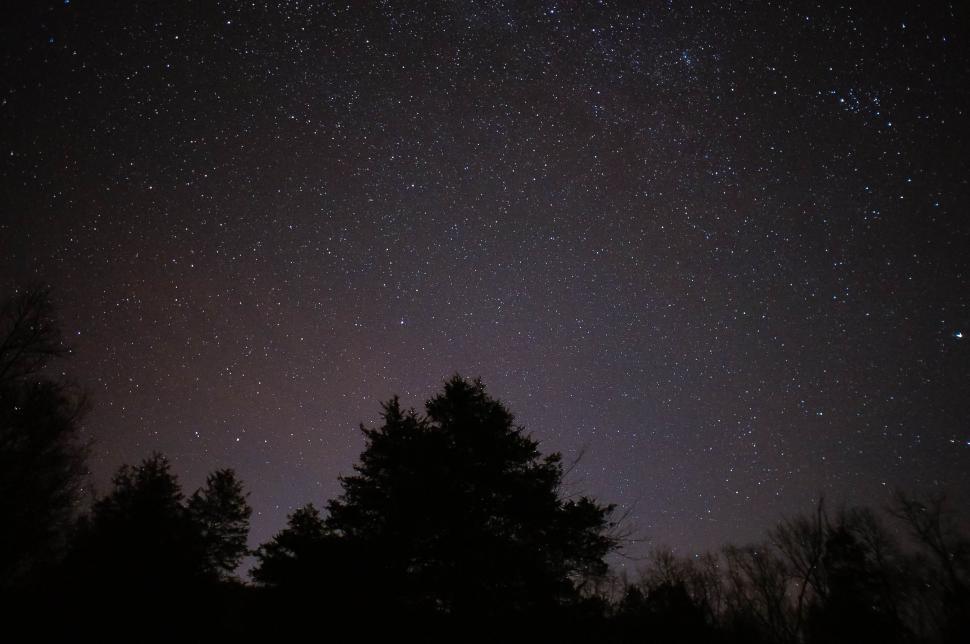 Free Image of Starry Night Sky With Trees 
