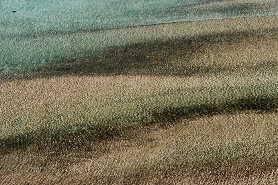 Free Image of Dog Walking on Beach With Frisbee 