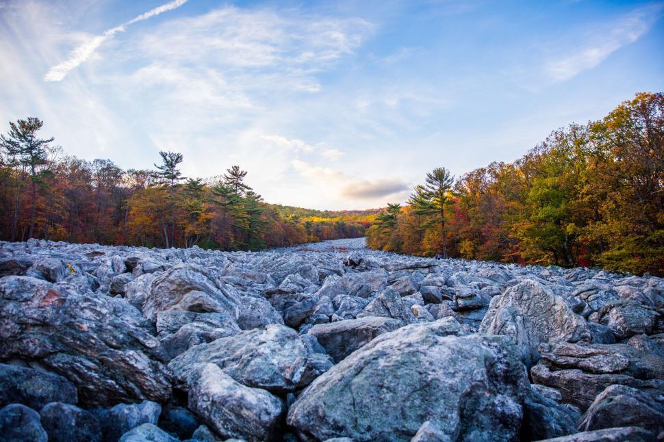 Free Image of Rocky Area With Trees in Background 