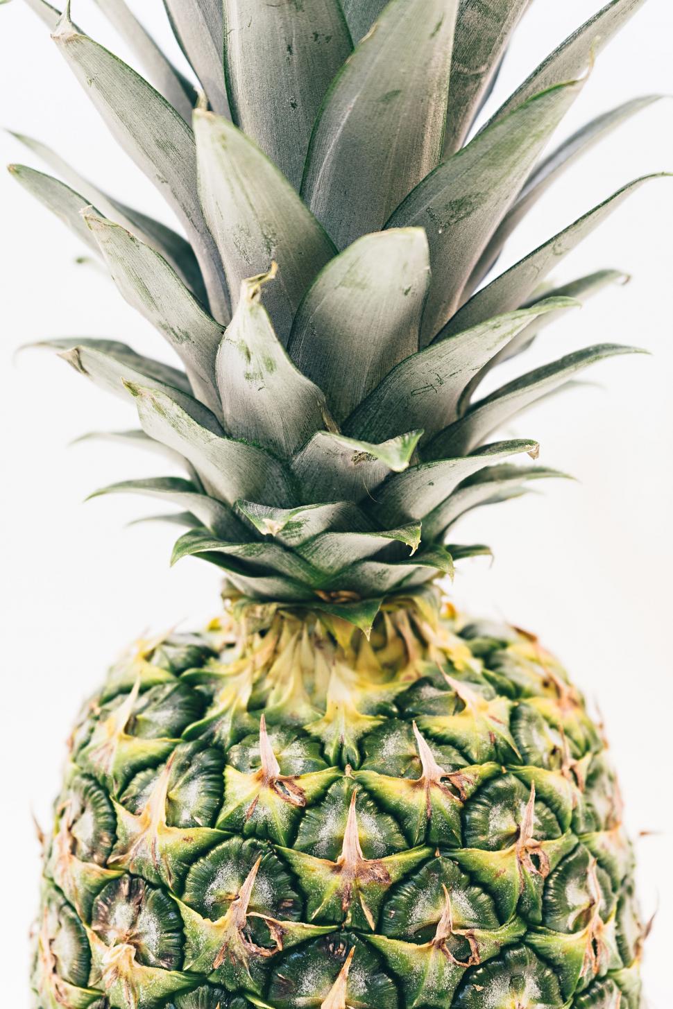 Free Image of Close Up of a Pineapple on White Background 
