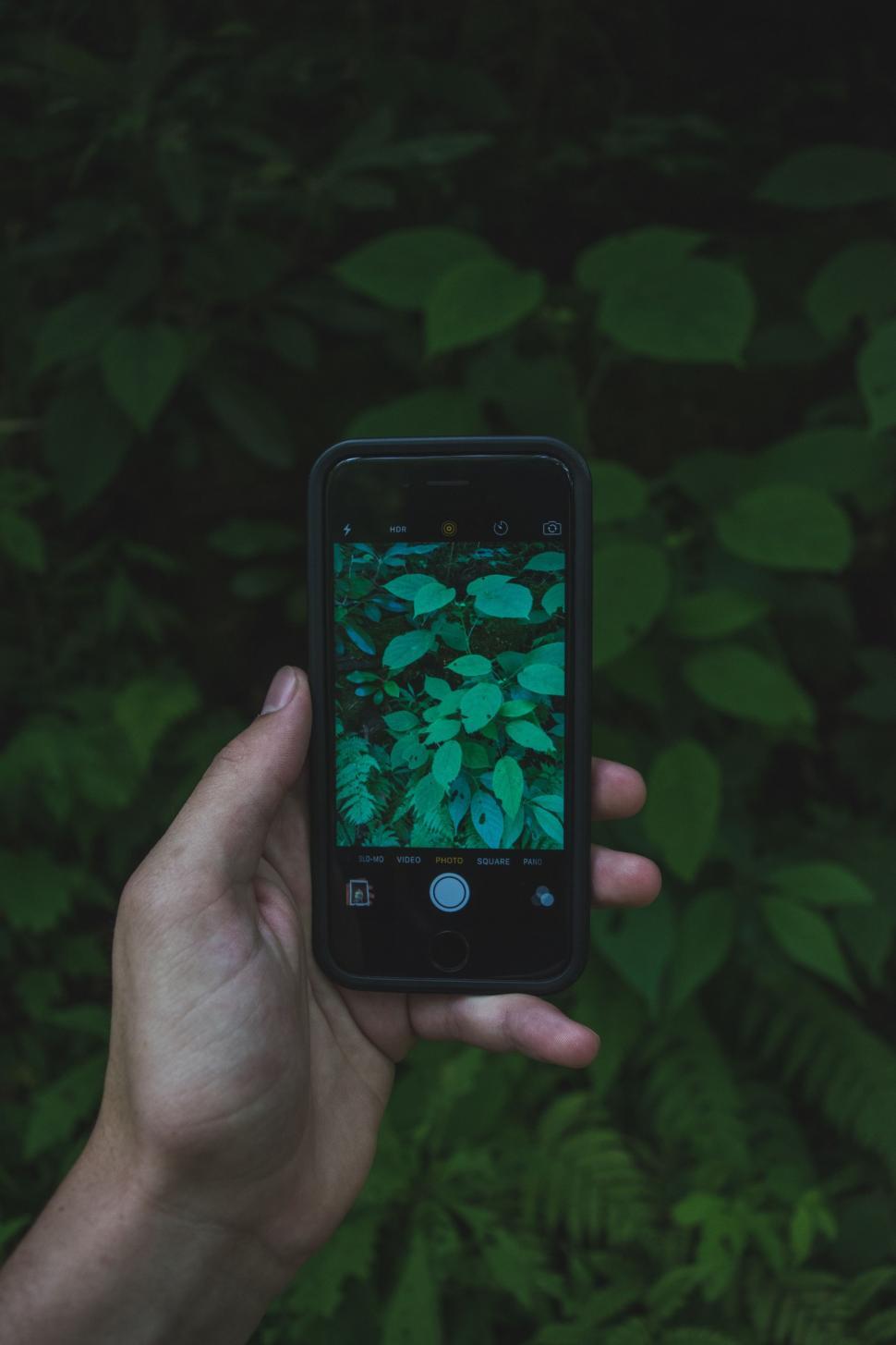 Free Image of Person Holding Cell Phone in Hand 