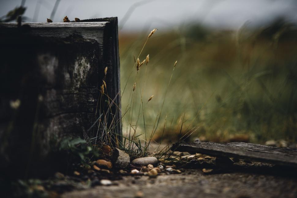 Free Image of Wooden Box In Field 