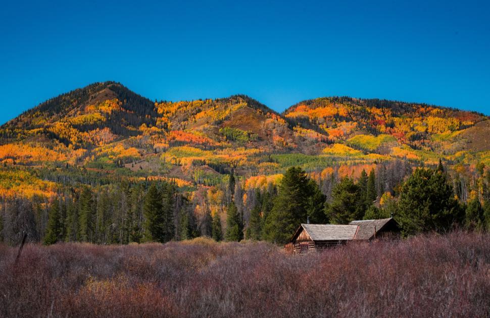 Free Image of Cabin in a Field With Mountain in Background 