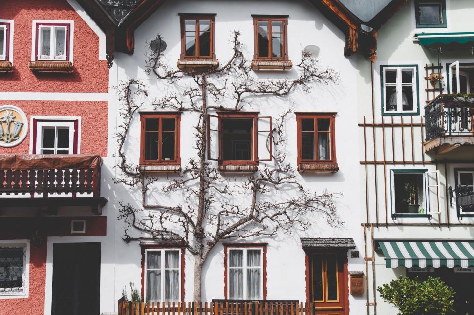 Free Image of White and Red Building With Tree in Front 