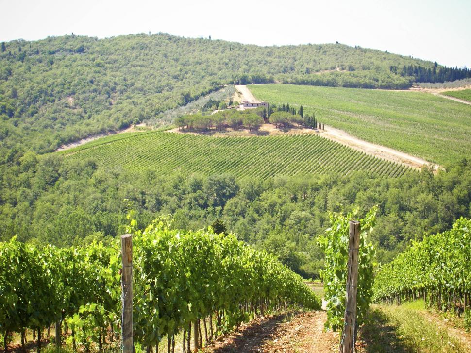 Free Image of countryside 