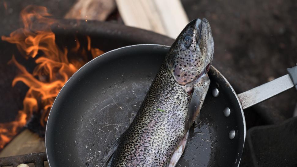 Free Image of Frying Pan With Fish Cooking 