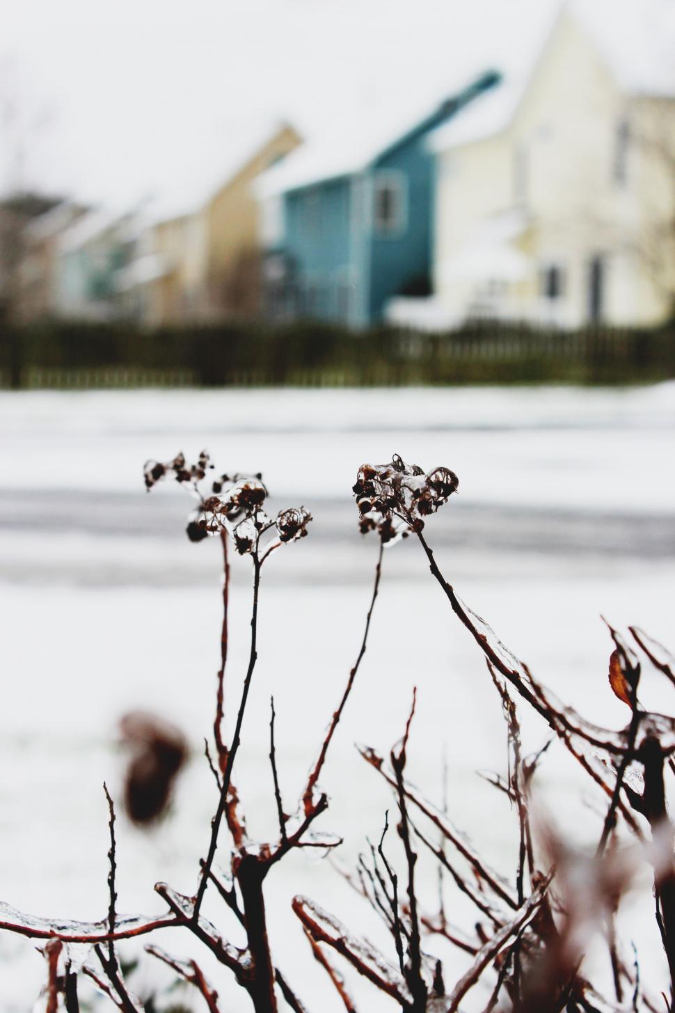 Free Image of Snow Covered Field With House in Background 