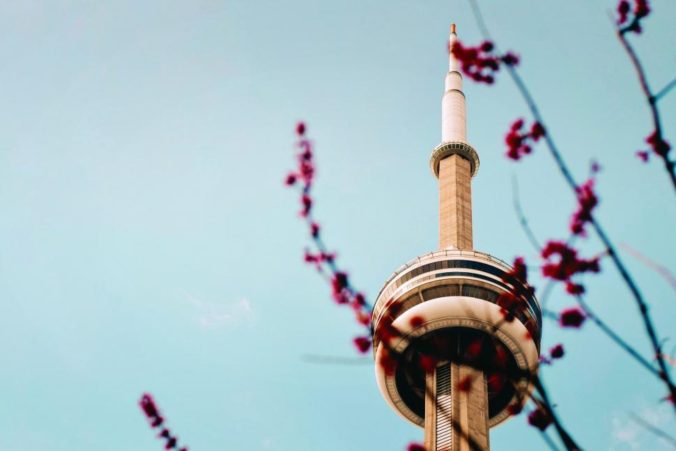 Free Image of Tower With Clock on Top 