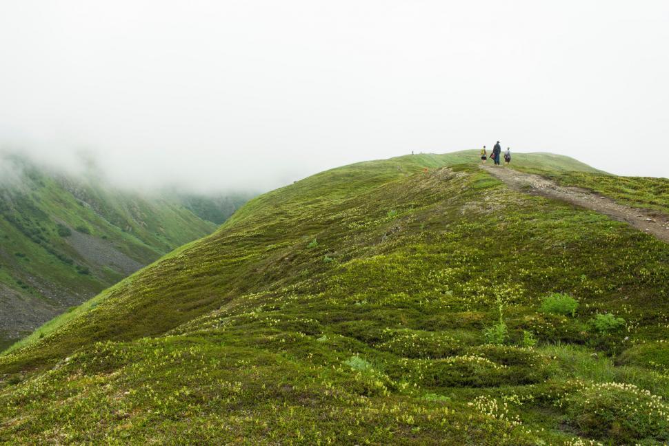 Free Image of Couple Walking Up Grassy Hill 