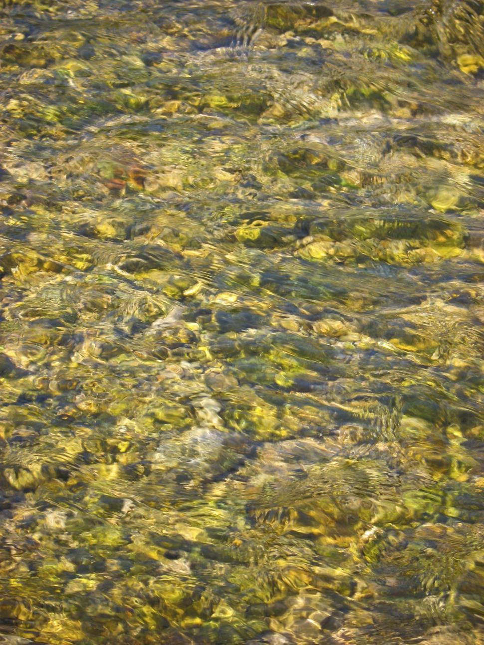 Free Image of pebbles in lake 