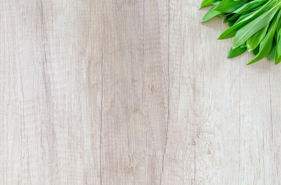 Free Image of Green Leaves on Wooden Table 