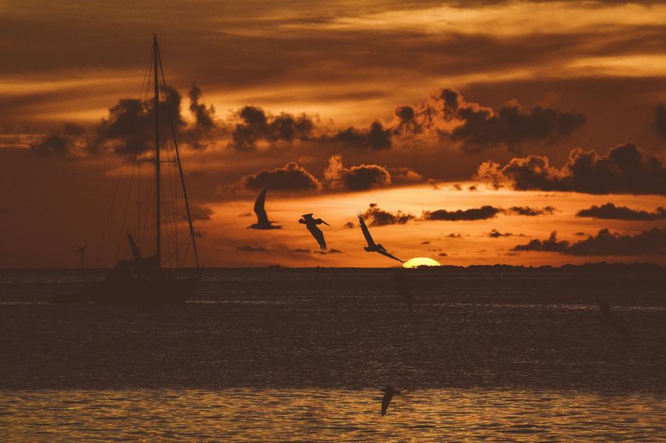 Free Image of Sun Setting Over Body of Water 