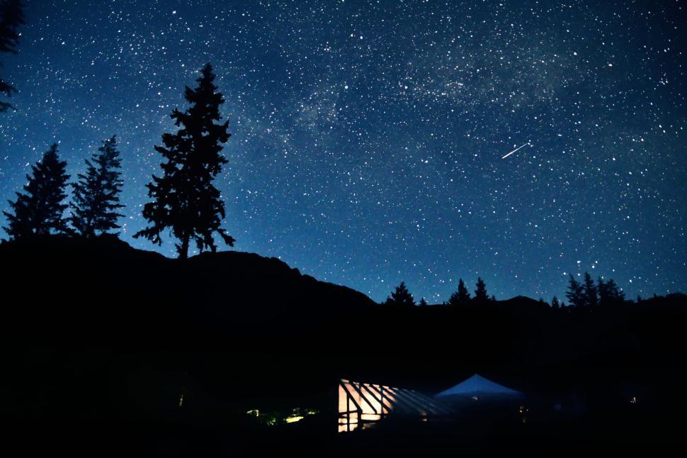 Free Image of Night Sky With Stars and Trees 