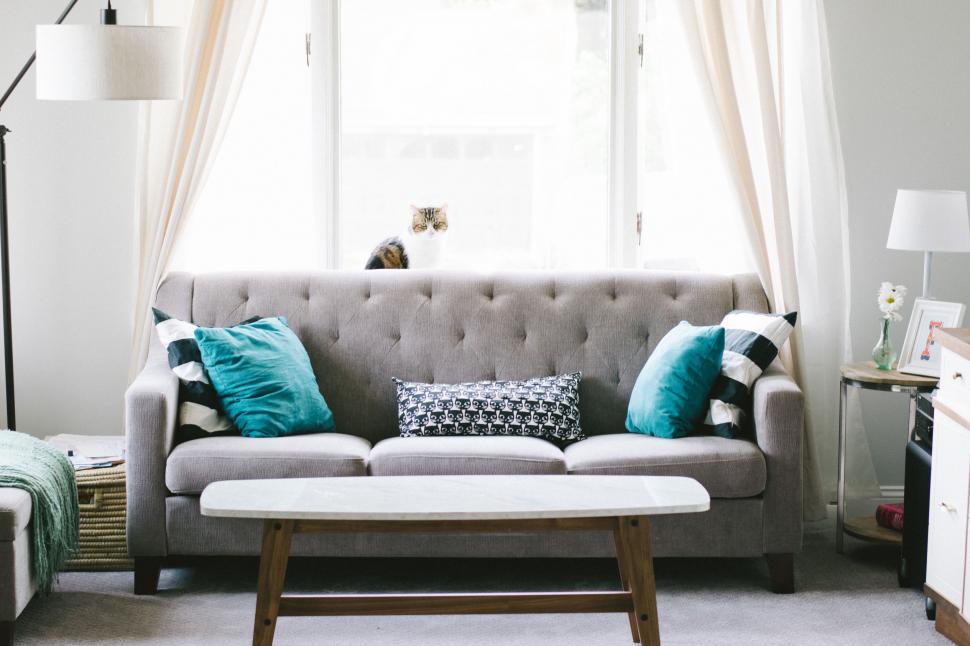 Free Image of Living Room With Gray Couch and Cat on Window Sill 
