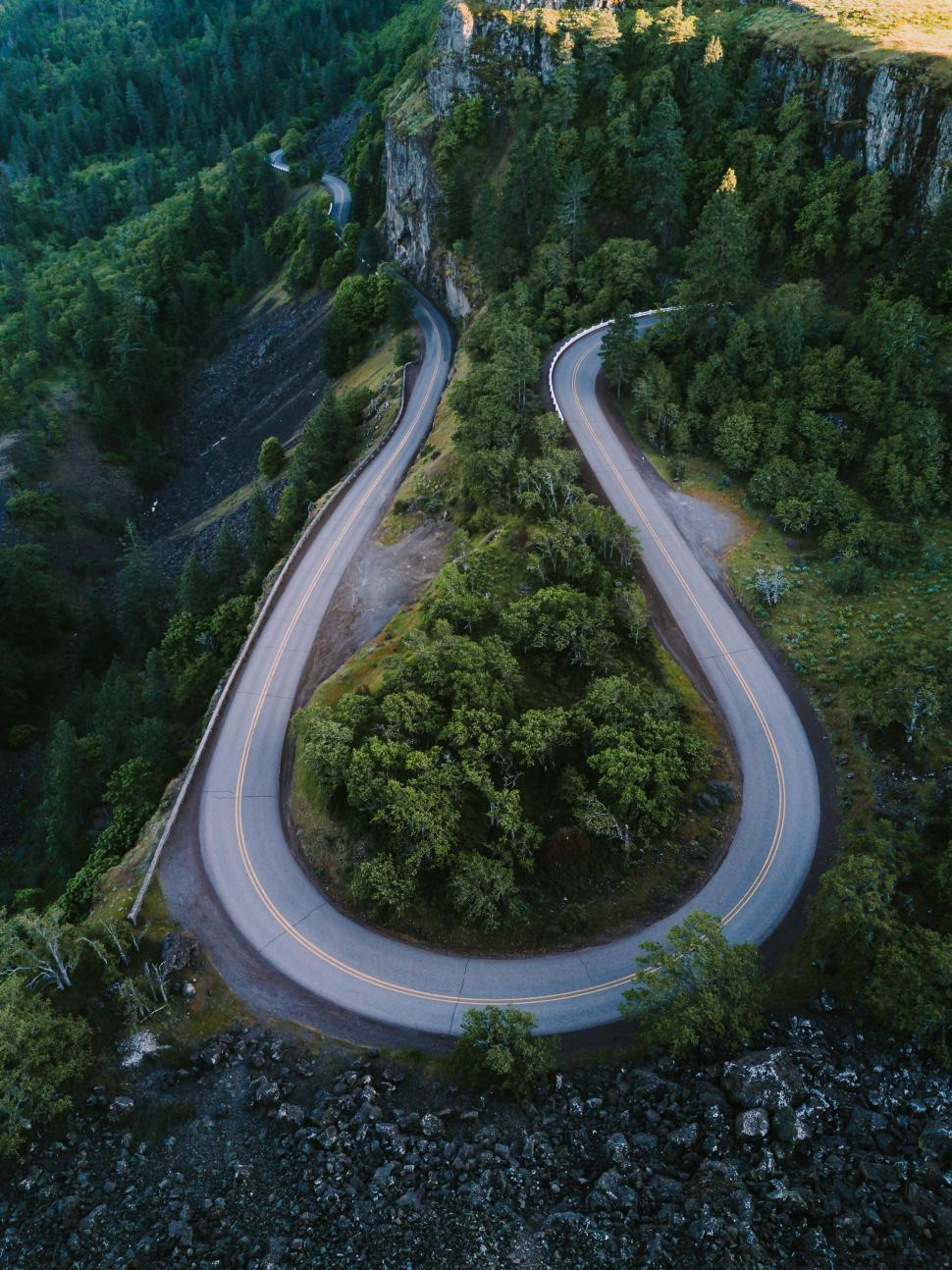 Free Image of Winding Road Cutting Through Forest 