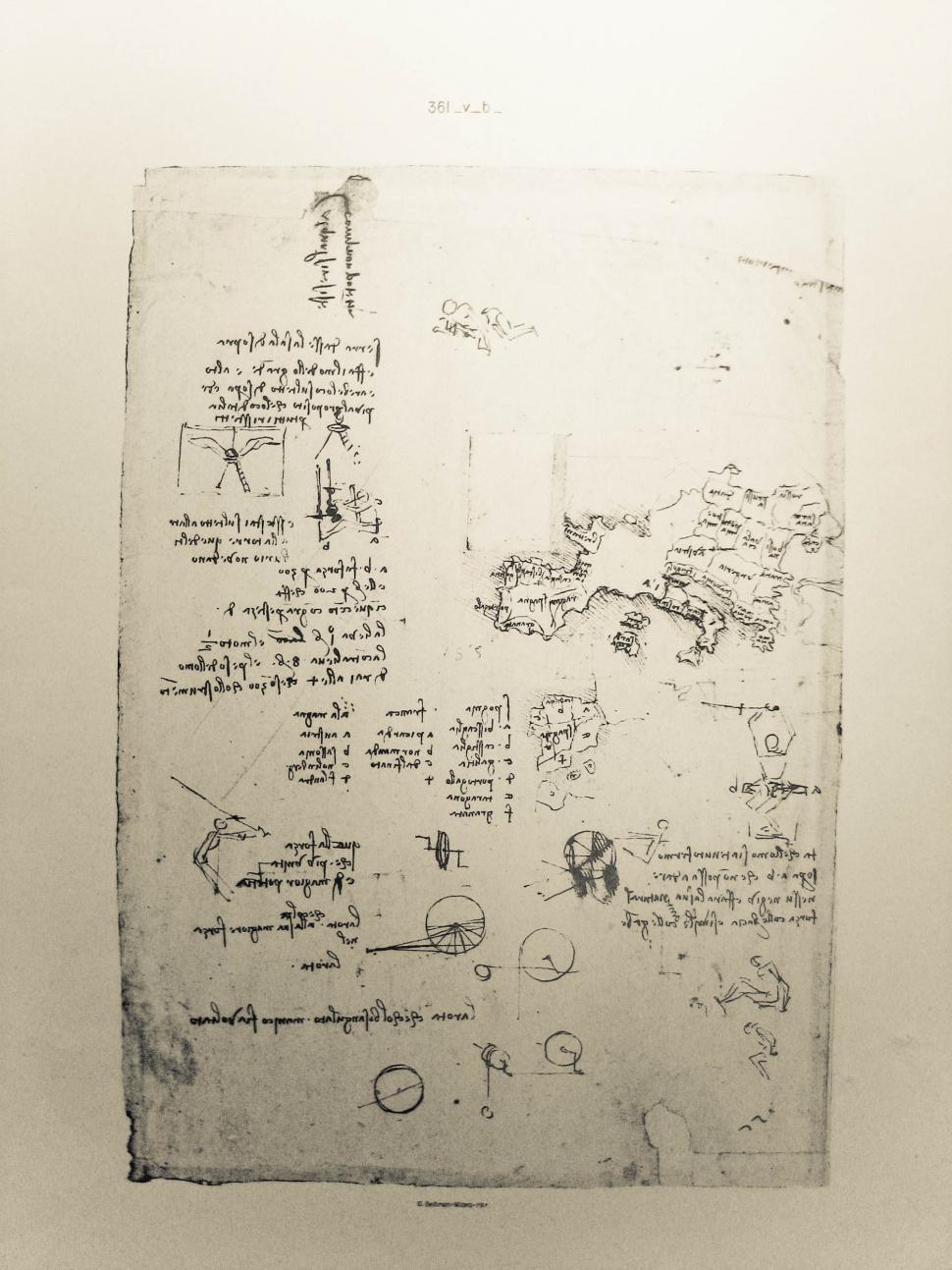 Free Image of da Vinci drawing 