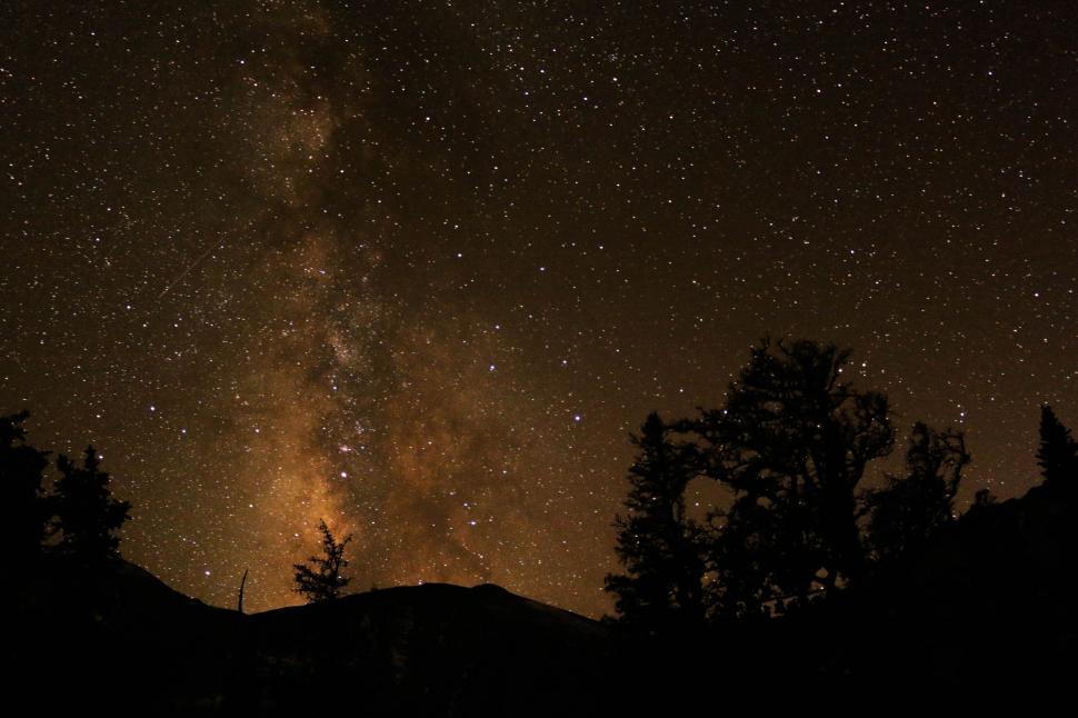 Free Image of Starry Night Sky Over Trees 
