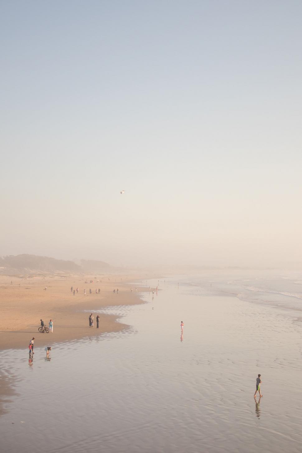 Free Image of Group of People Standing on Top of a Sandy Beach 