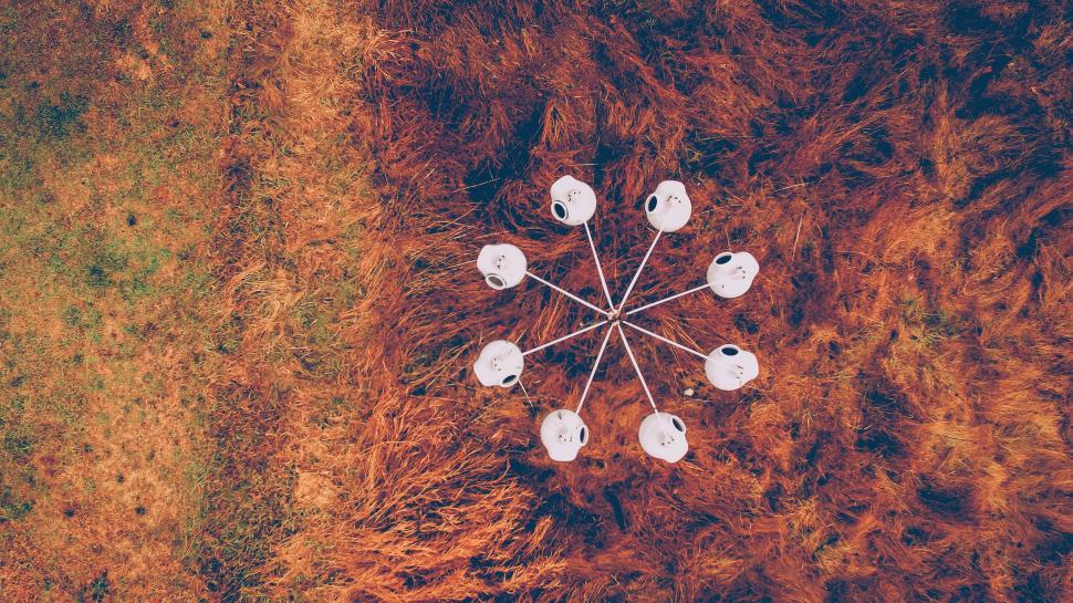 Free Image of Group of White Objects in Field 