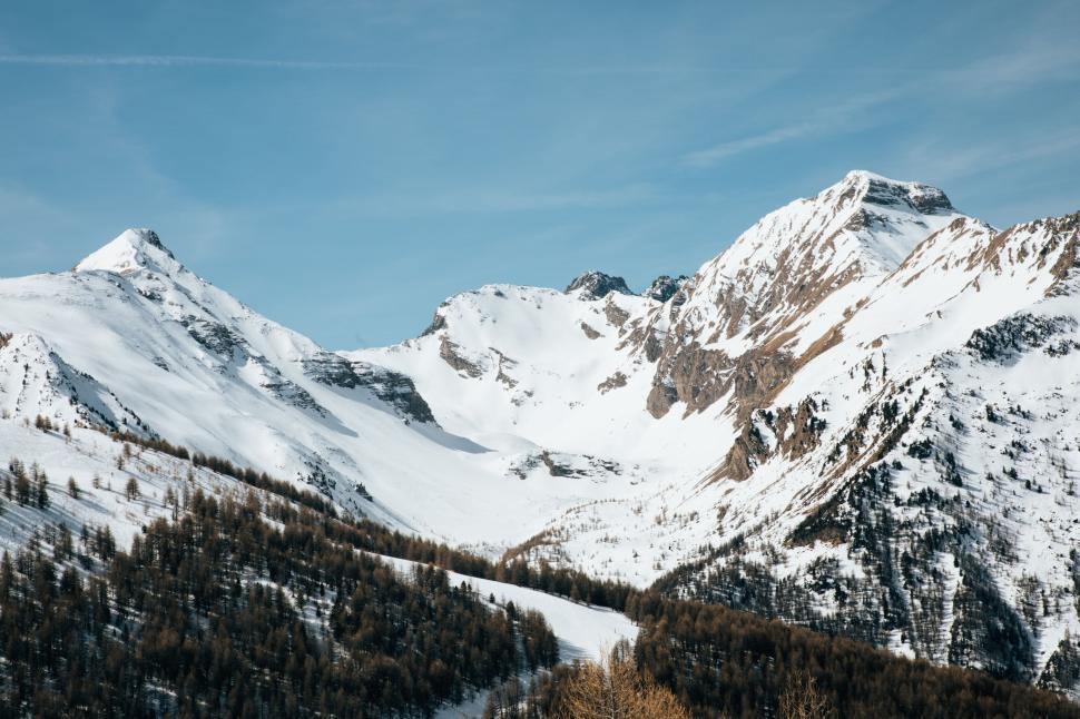 Free Image of Snow Covered Mountain Range With Foreground Trees 