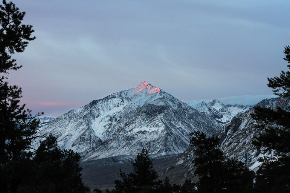Free Image of Snow Covered Mountain With Trees 