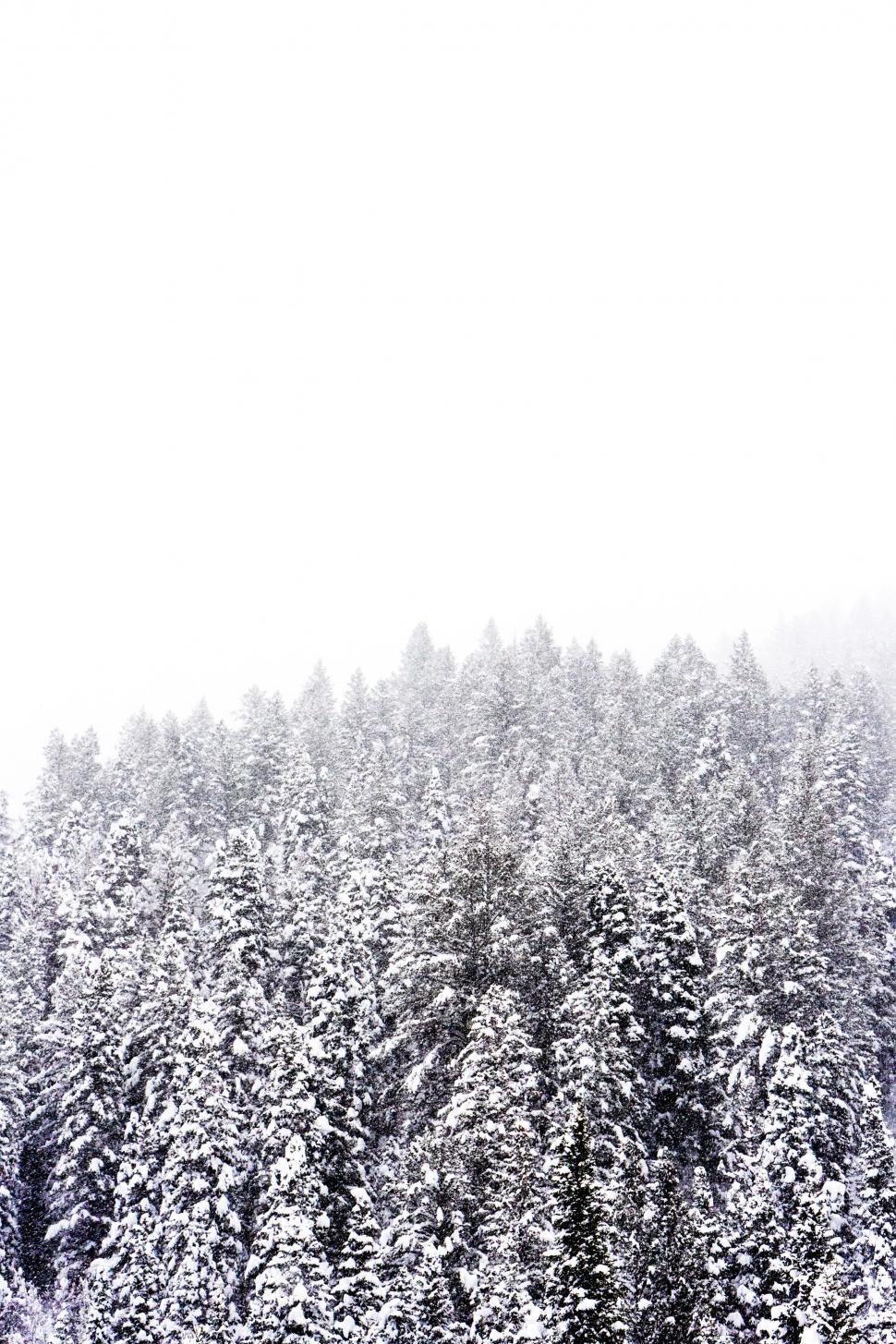 Free Image of Group of People Standing on Snow Covered Slope 