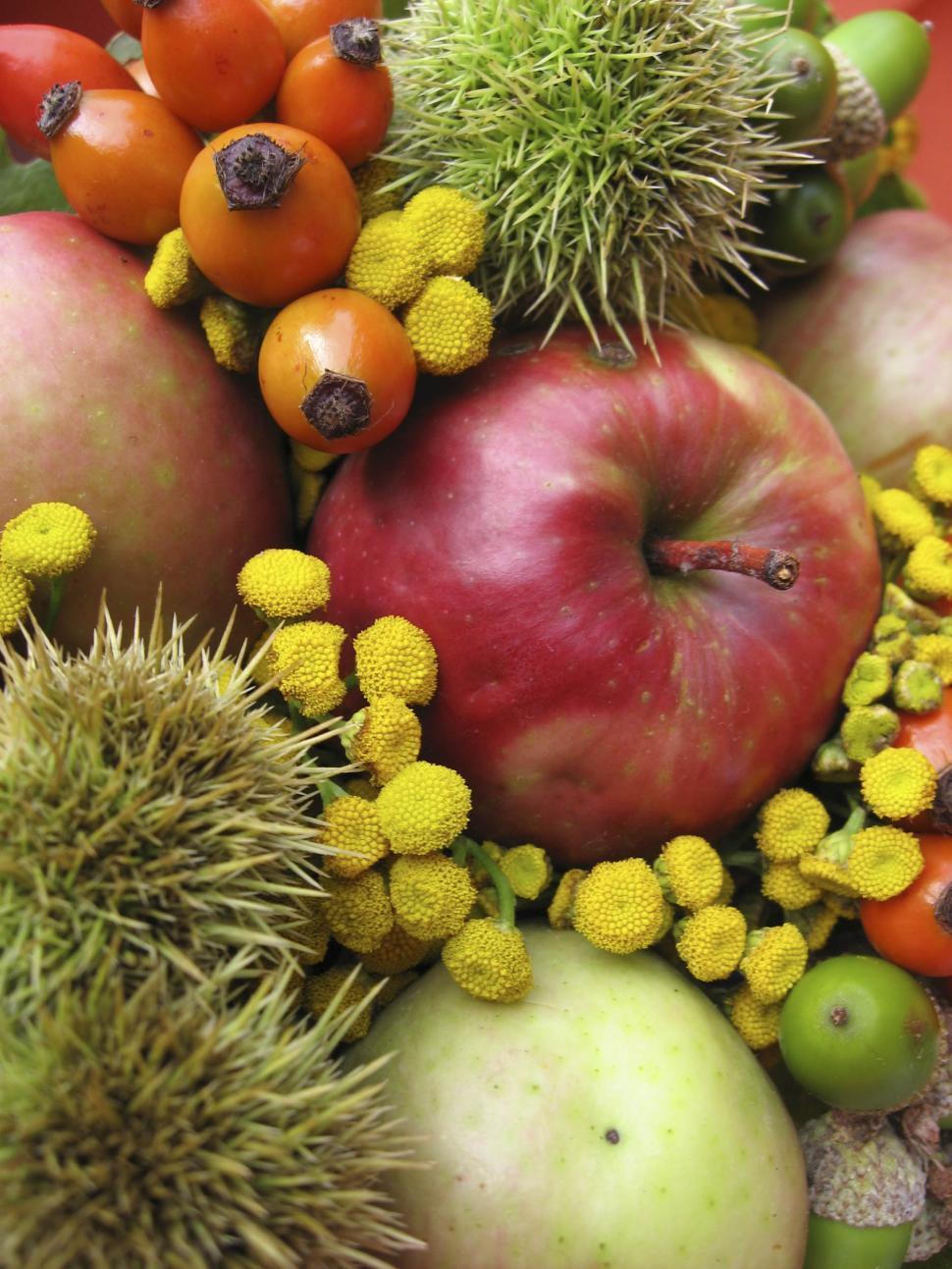 Free Image of fruits and flowers 
