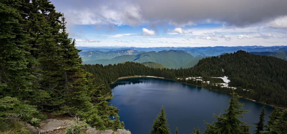 Free Image of Pine Trees Surrounding Lake View 